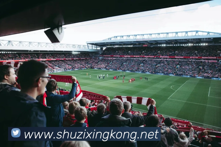 乐竞体育官方官网平台生态图