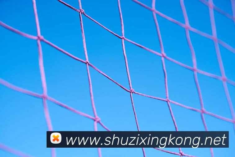 乐竞体育官方官网全站App